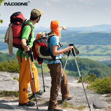 将图片加载到图库查看器，Carbon Fiber Trekking Poles
